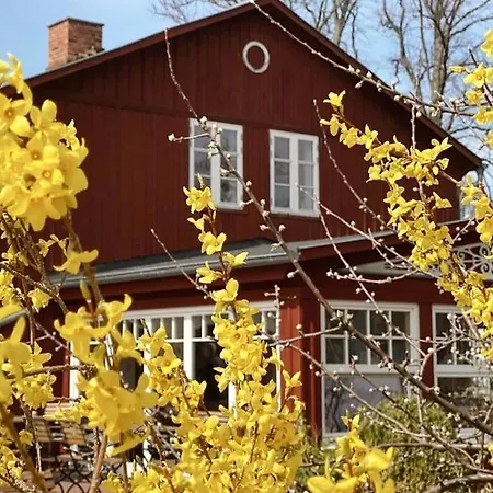 게스트하우스 Walfischhaus 보른